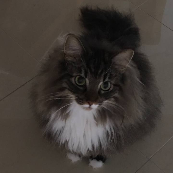 50f60d9c f135 450b 9717 6a53b8e63f4c