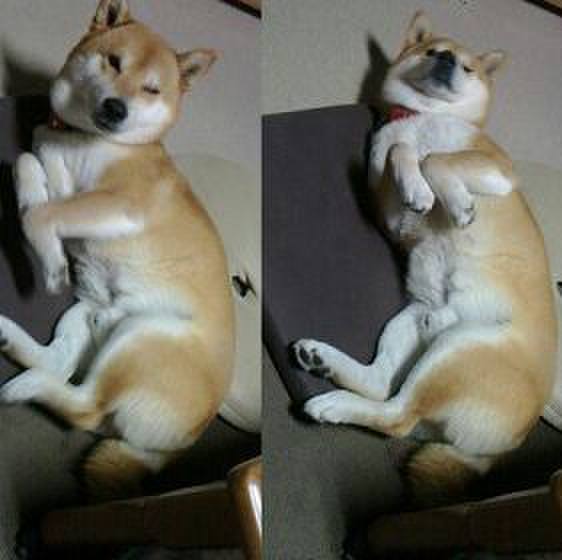 50f629c5 d128 4d7b af0b 35e8dc841d9a