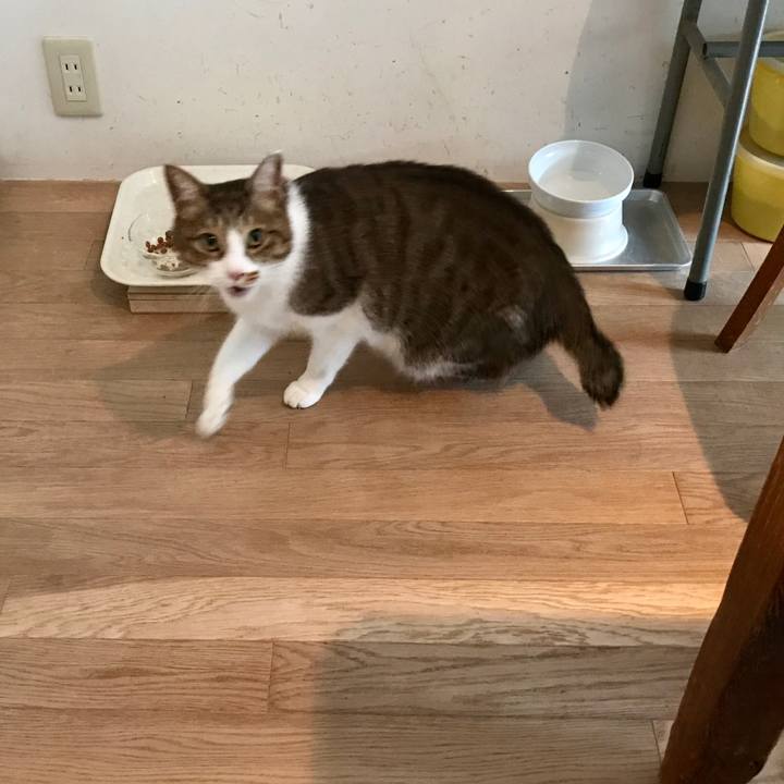 50f65e63 b80e 41a5 a59d 71b5109a7e6c