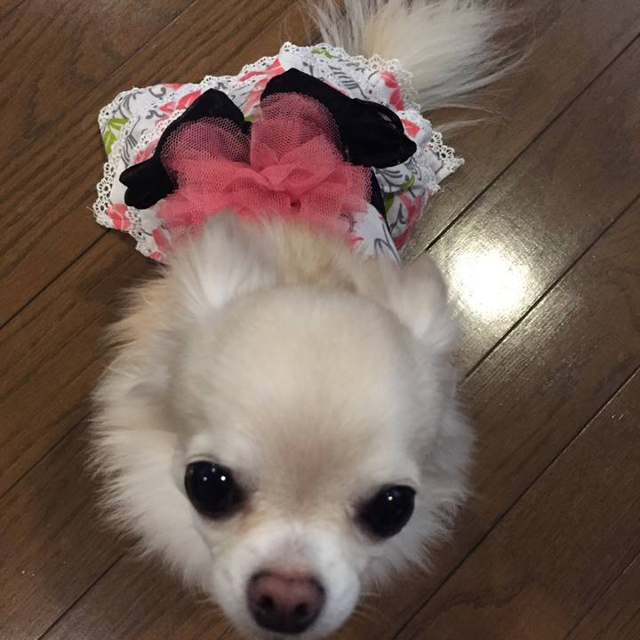 50f69756 bb21 4f86 9906 065a790be33a