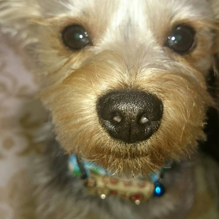 50f7ae0c 5140 4549 8f43 81e4a1c74ea9