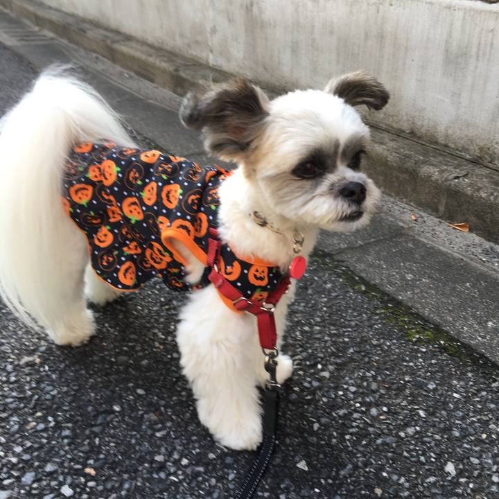 50f80ac5 caa4 4799 a2d9 82287407386f