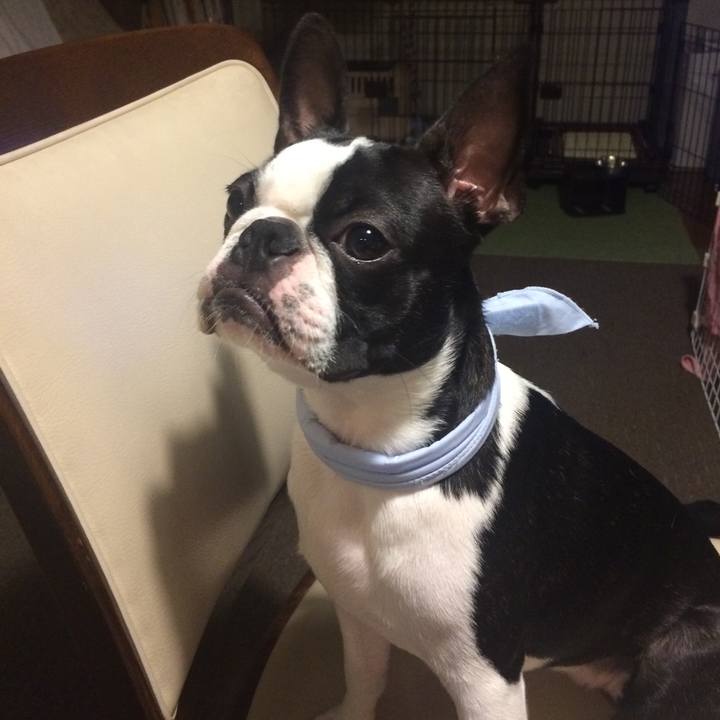 50f84da2 dde6 4498 81b5 97be15e3fe34