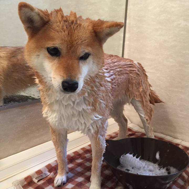 50f858eb a75c 4c22 9781 867fd4e4fd89