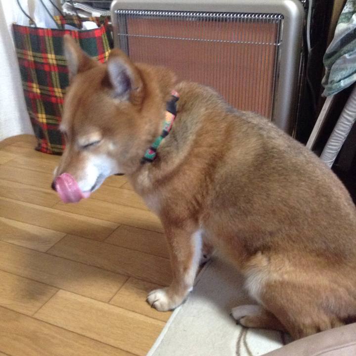 50f85b4e 7528 4e36 99d6 60739e61871c