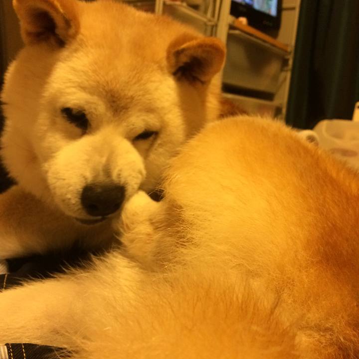 50f8ce4b 5b9b 4259 98f0 050b7099de3c