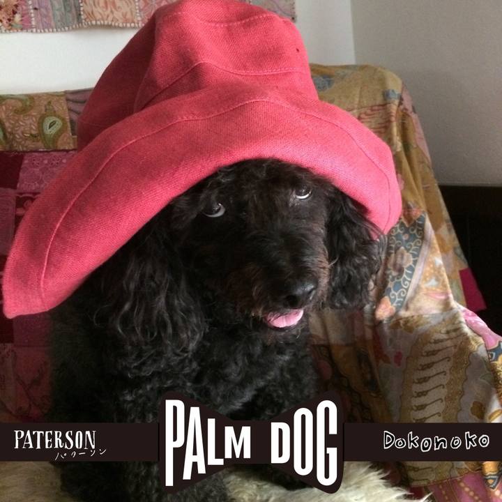 50f95f95 72ab 4c37 8047 8388d35b97b8