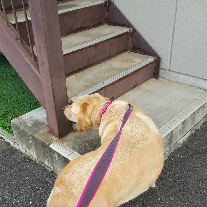 50f976ae 8450 4fdb 938c 54fc5ef3b6b6