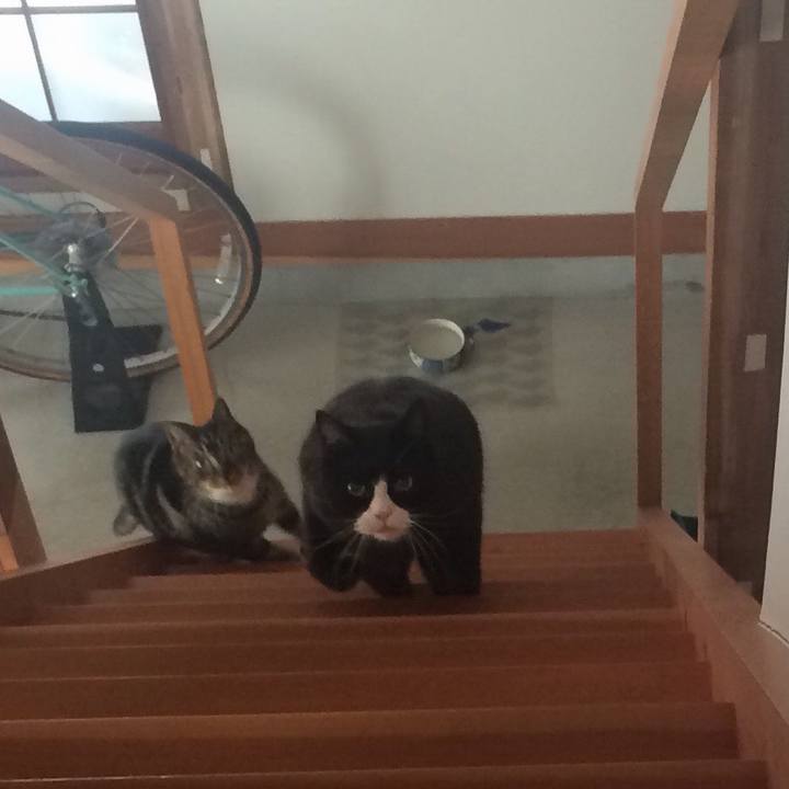 50f9af59 f0b5 4a26 a58f d95d4833e6ed