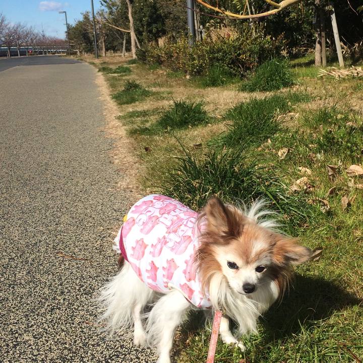 50fa1bf0 f470 4588 a449 b1fa3f58be80