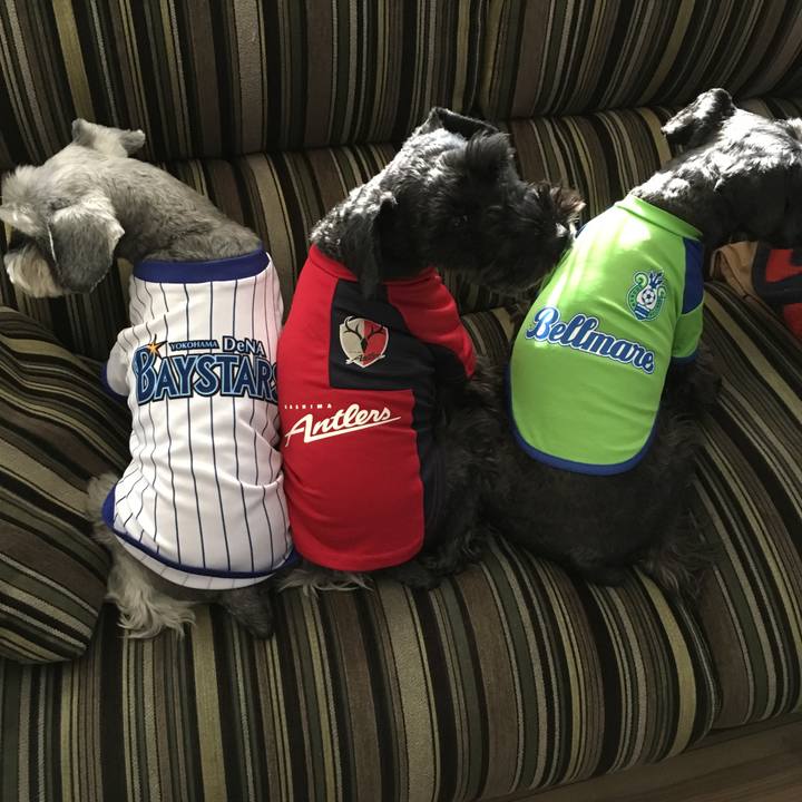 50fa6a82 accd 4329 9ed0 703e8a78a424