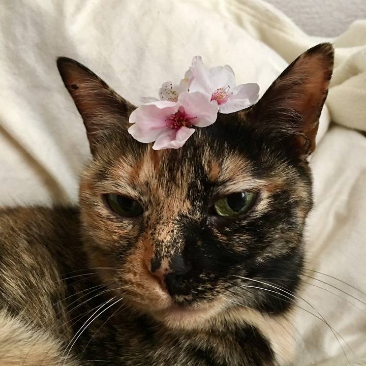 50fa6c66 1085 49bb 8581 1b7098188aaf