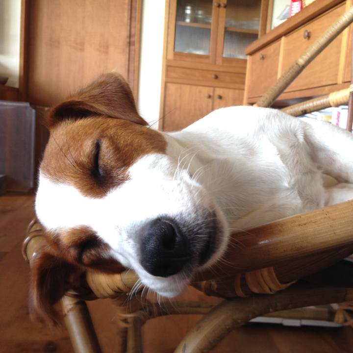 50faa649 3c5d 47e5 9726 cb2113090afc