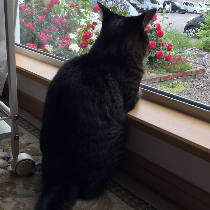 50fb19a8 1025 4bff a3d9 844a6dbfa7e7