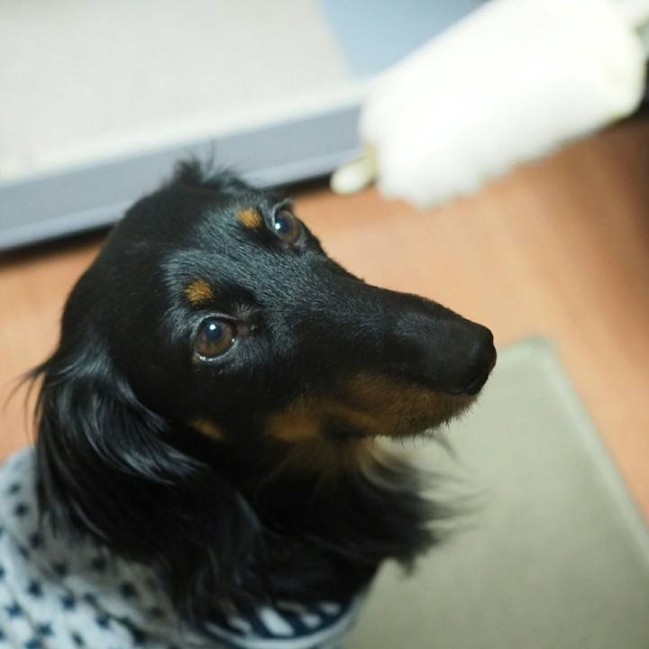 50fcbce7 ccf9 43e8 84fb 4c00f8d1905a