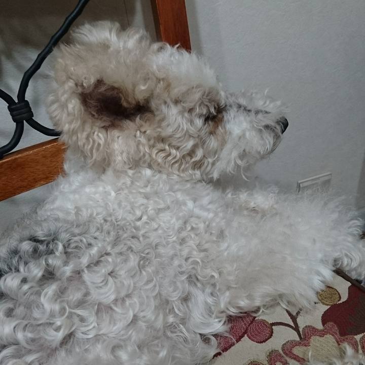 50fdb869 a563 4e69 9fc8 af55b563db0f