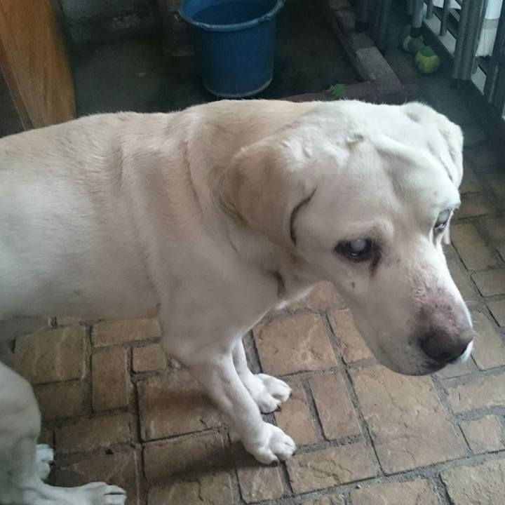 50fe5893 9295 4d1d b033 4f07ca267752