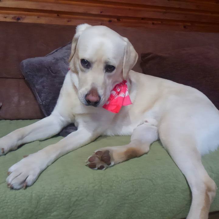 50fec2e7 a270 4fda ae02 779dd6f4e4bb