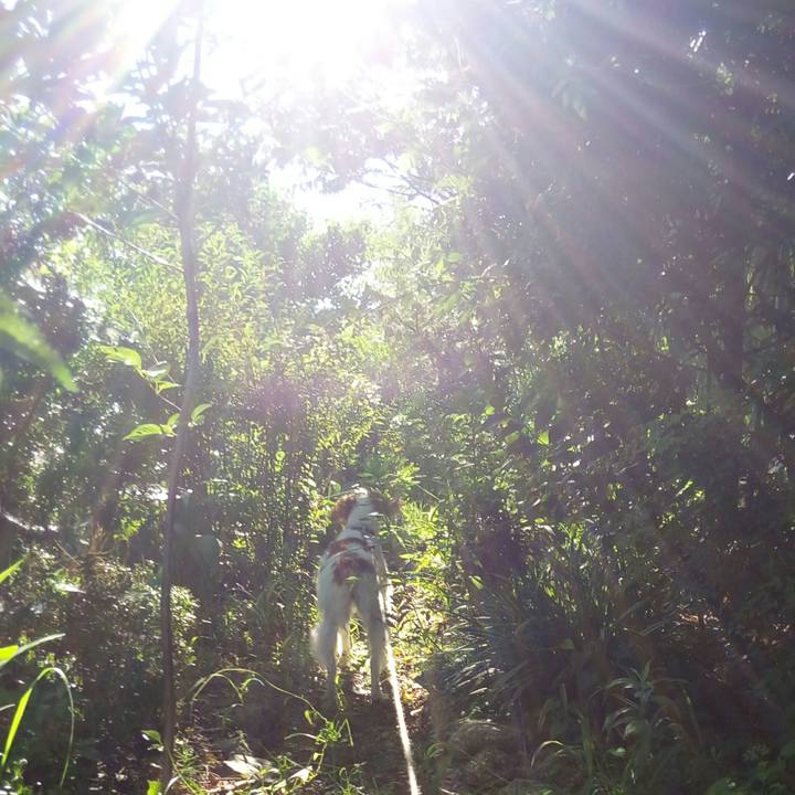 51005cd8 37a1 41fb a4c6 48d03858602d