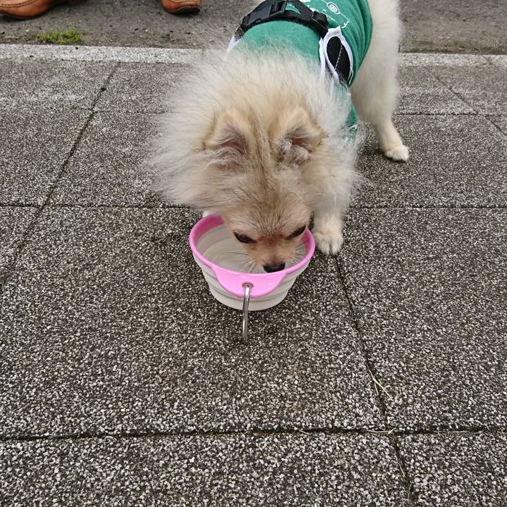 51006af7 3730 4ace 9013 35b9fea7b71b