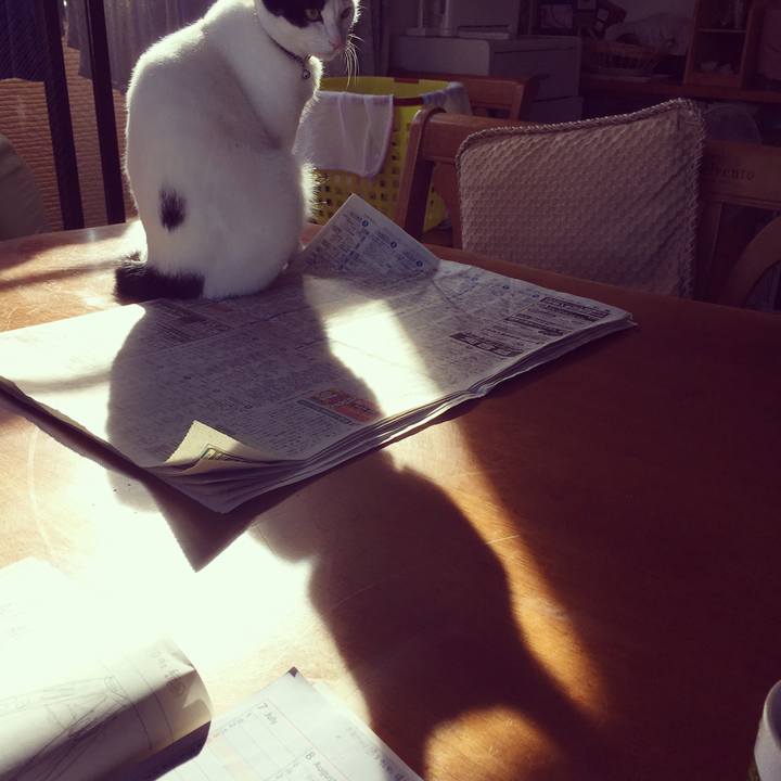 5100f097 7875 4a30 9dda 5ca7a043ee29