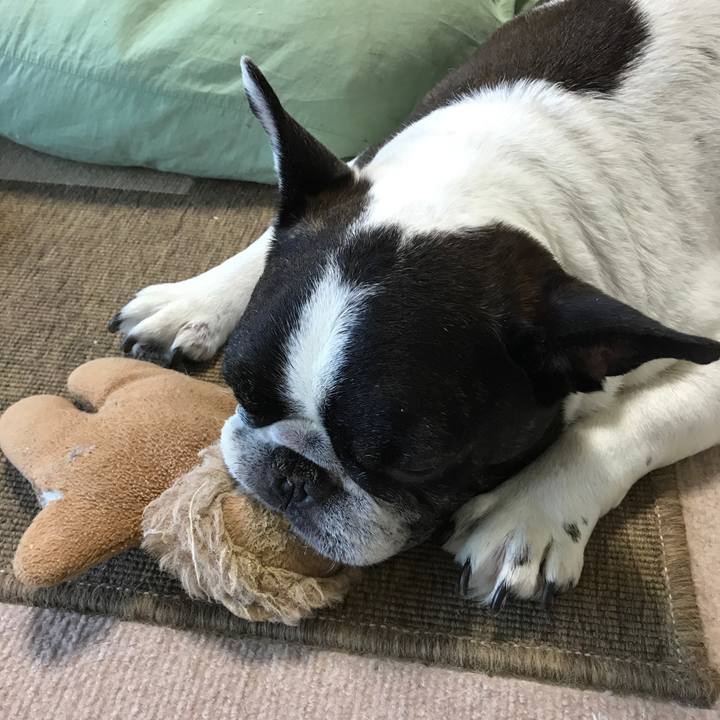 51012d84 ae02 4e2a bbe5 43fc62ab6940