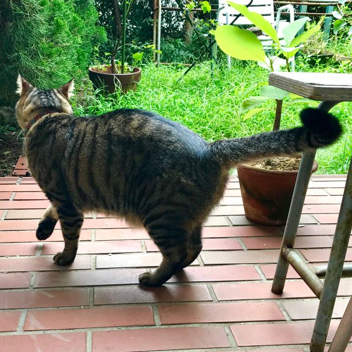 5101e4d1 aa53 4ff6 91a1 3f4b131787a8