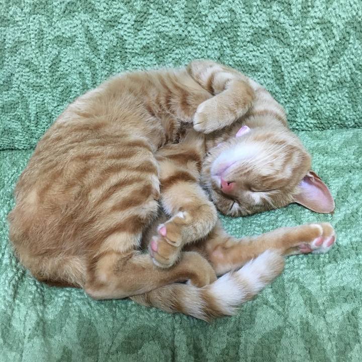 5101f26b a097 41b1 99aa 810e36f61ba8