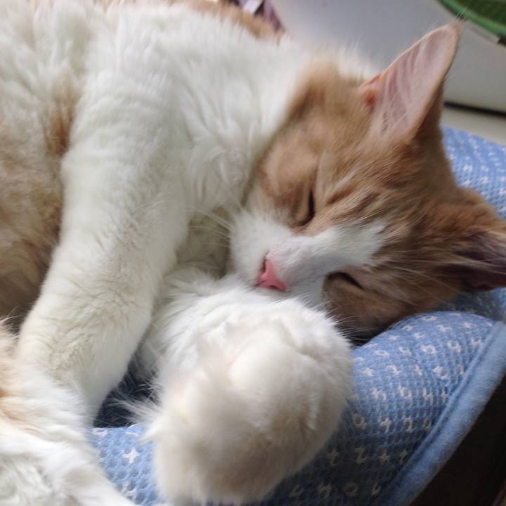 51029194 0ef4 4728 8288 7b4b92814e4a