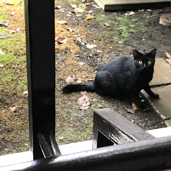 51029d07 dc8e 4818 94d8 f7d77ab04911