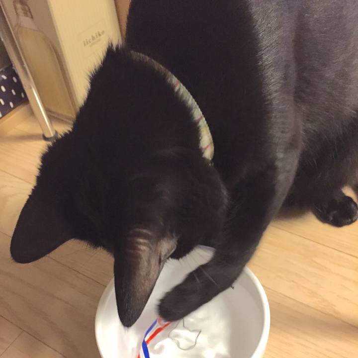 5102e87f 5127 44d8 bf8f a516f56e3bac