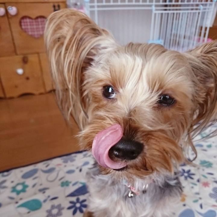 510398b6 337a 443a 9236 131225426dc1