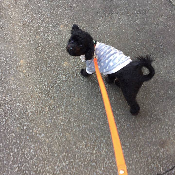 5104bc9e 030c 4f41 b5db 978217f3e3e5