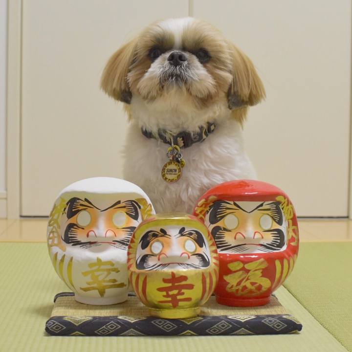 51050327 0e2d 4deb 8afe 4cb8e42d12e1