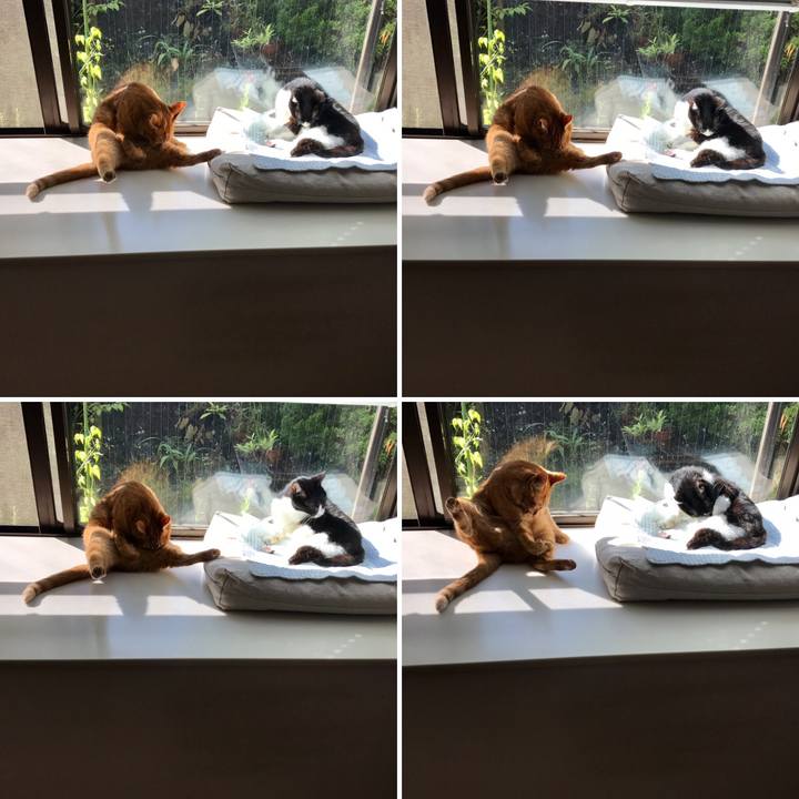 5106a59a a9f3 491f 8ab1 83f5f3d3f128