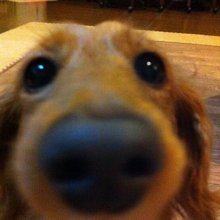 51073682 2f0c 4bda 9a4c 674f696d98b4