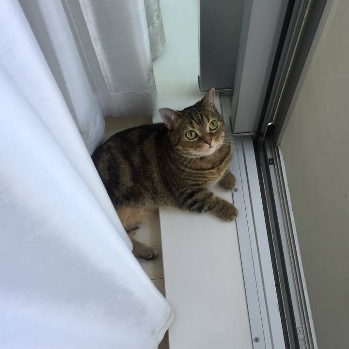 51077e34 e948 4fea a33f 51e8c37f4eb6