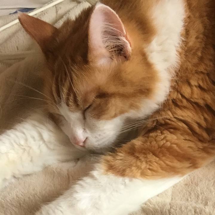 510875c5 c8d3 469f 89d6 21d2d16d8bf9