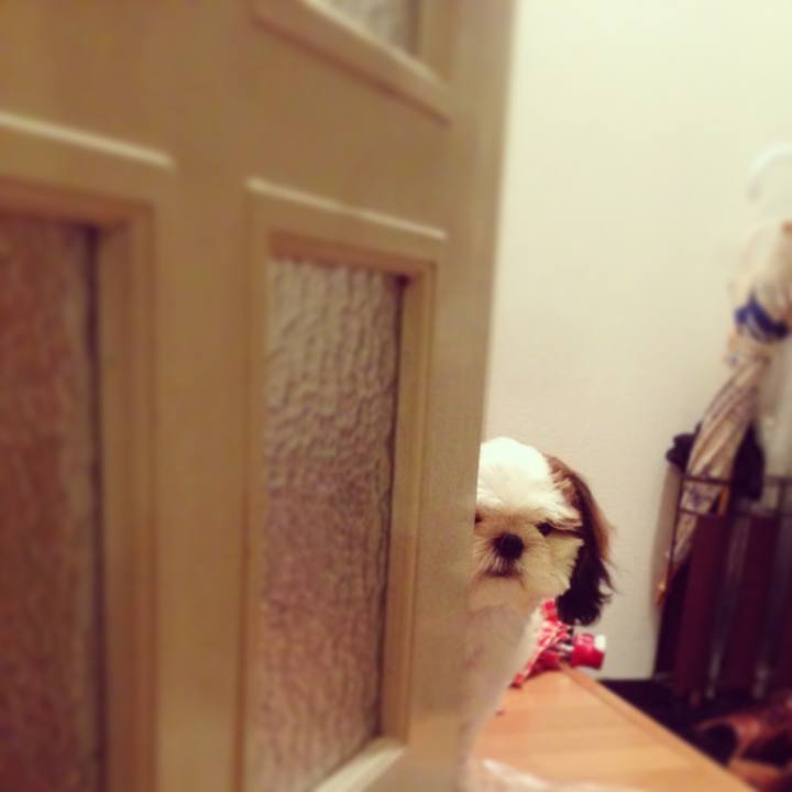 5109b898 695c 439e a4bb 46b6e86c491b