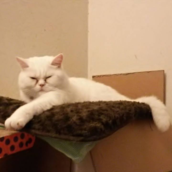 510a7864 37dc 47e2 999e 26ce6fb22868