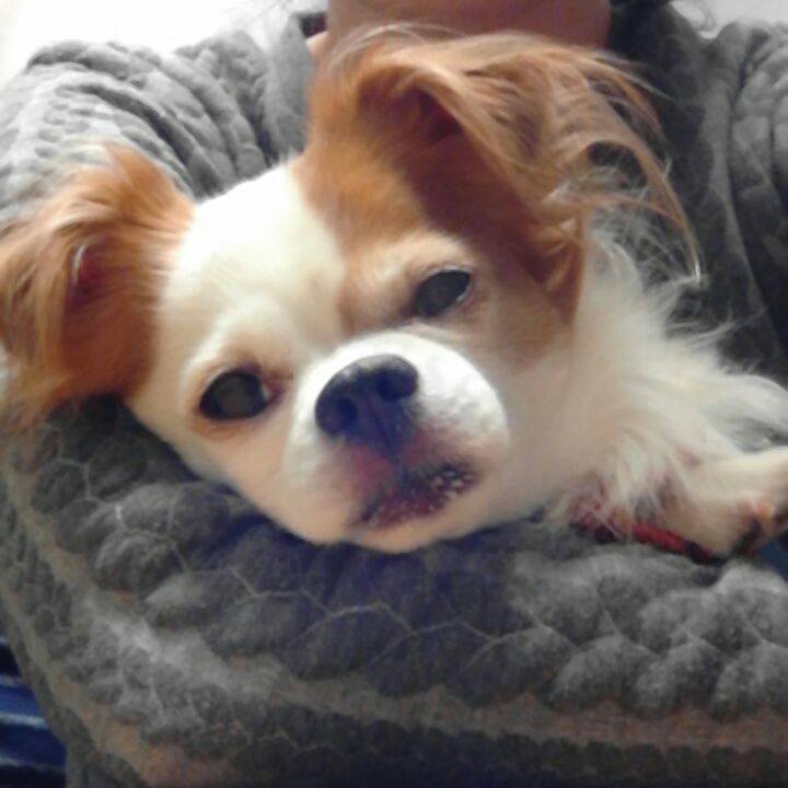 510b8401 3f5c 477e 9b39 09ed8b6a9384