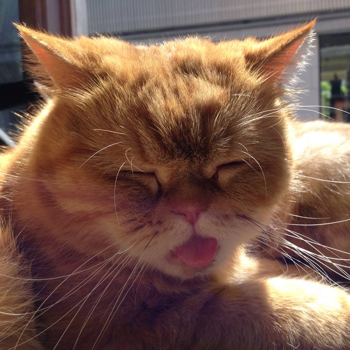 510bef64 e665 47bb bfd8 4ddf92940e63