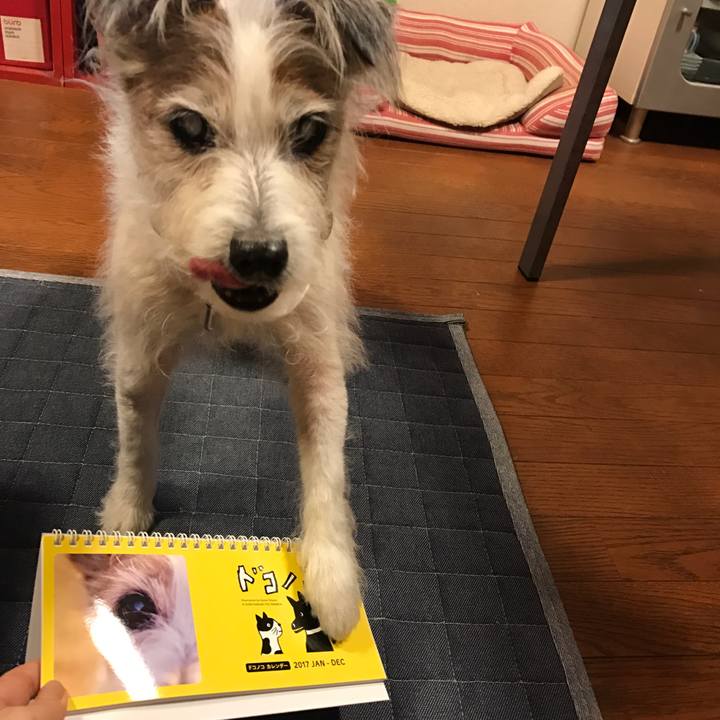 510c07f4 550e 4941 8841 254d3d081ec0