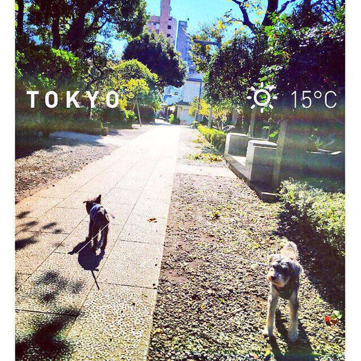 510c465c 097b 4046 9946 b4d3ca88dc90