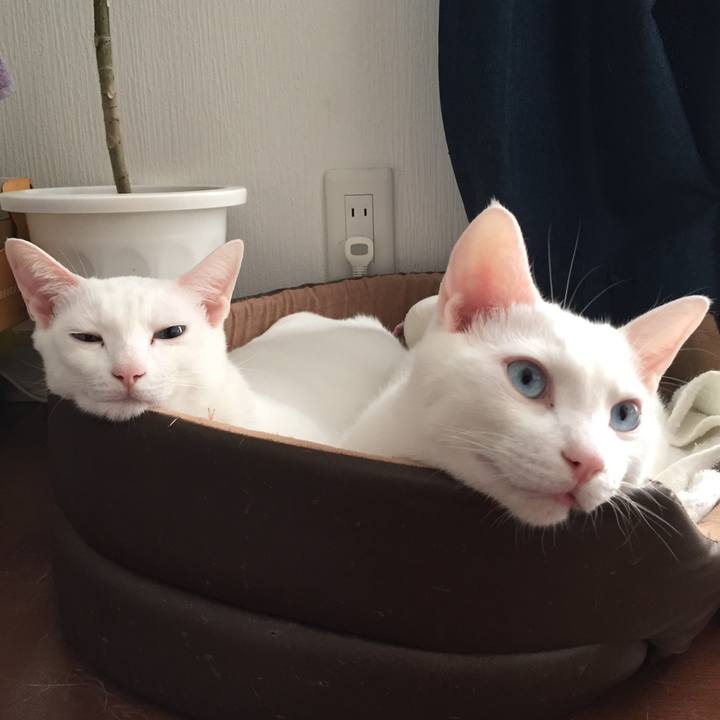 510c7810 da6e 4a57 8b9d 312e1c24e688