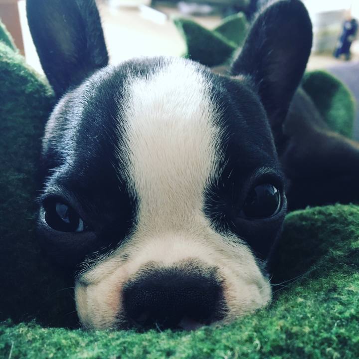 510c89aa 25ec 47c8 be3f 0035279ebab2