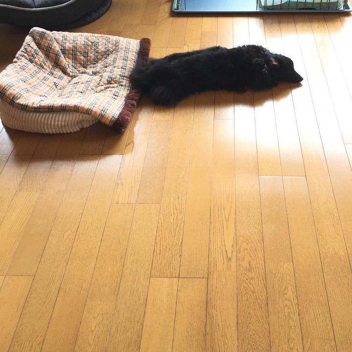 510cb38e 6f3a 46fe ab76 39dc3976d5f4