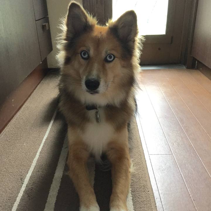 510d1d6b 59c9 4a86 8cd5 86dd11394e29