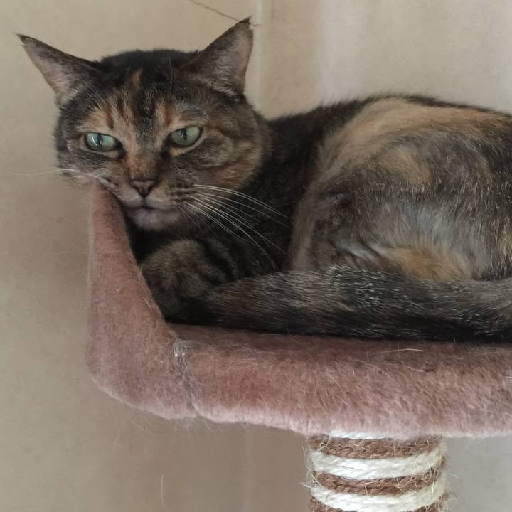 510e0de1 b4d4 44a8 b7ae 48f8fbe1b2c2