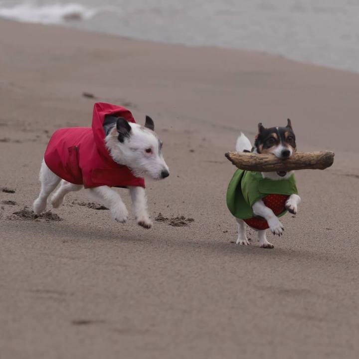 510e21e4 e901 4116 aaf0 b3e0ef4e2096